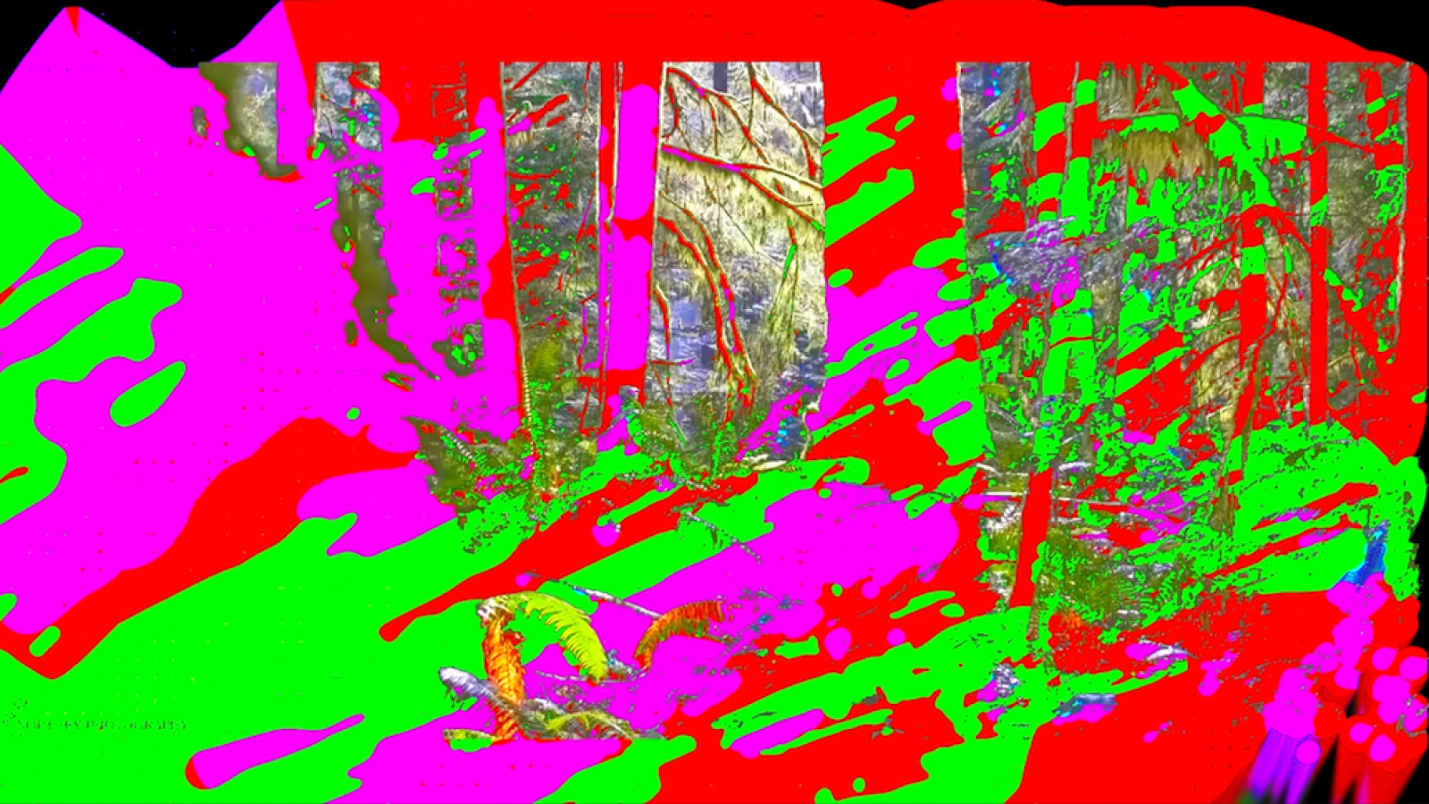 this is a still screenshot of a glitched out video I created via signal culture apps. It's bright and colorful!