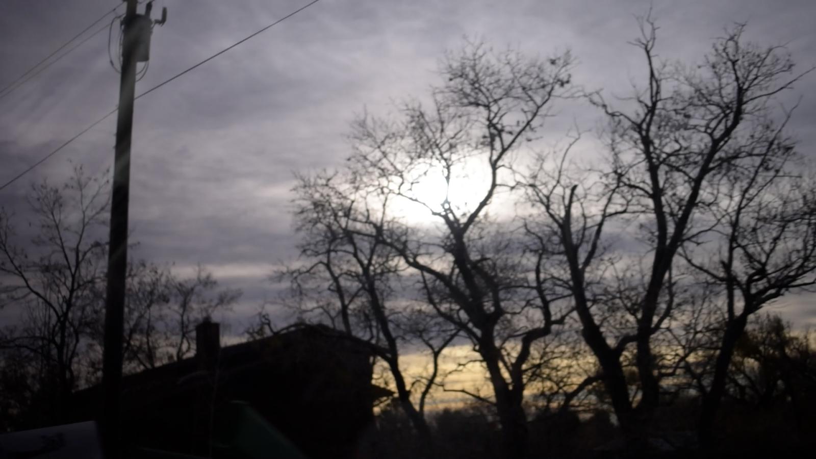 Sunset through dead trees