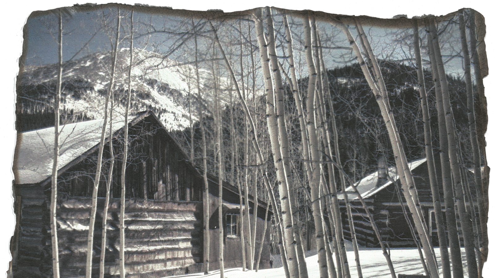 Trees in front of a mountain cottage