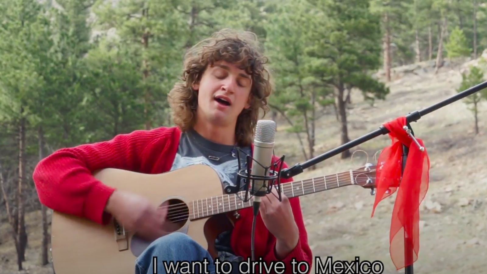Person in the forest playing acoustic guitar and singing to a microphone