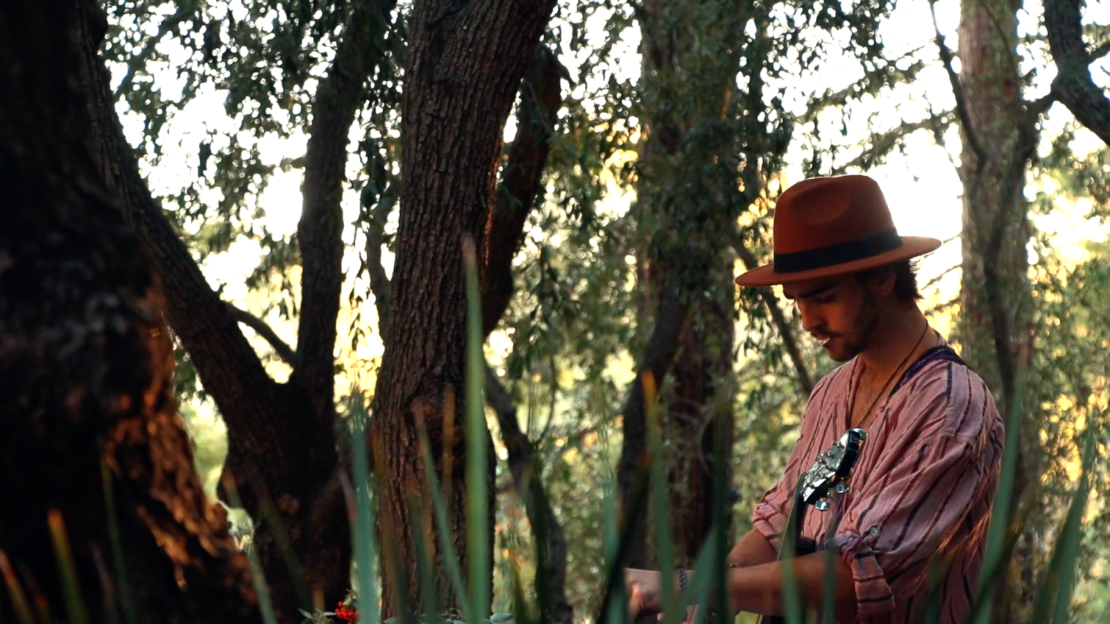 Musician playing guitar in front of trees