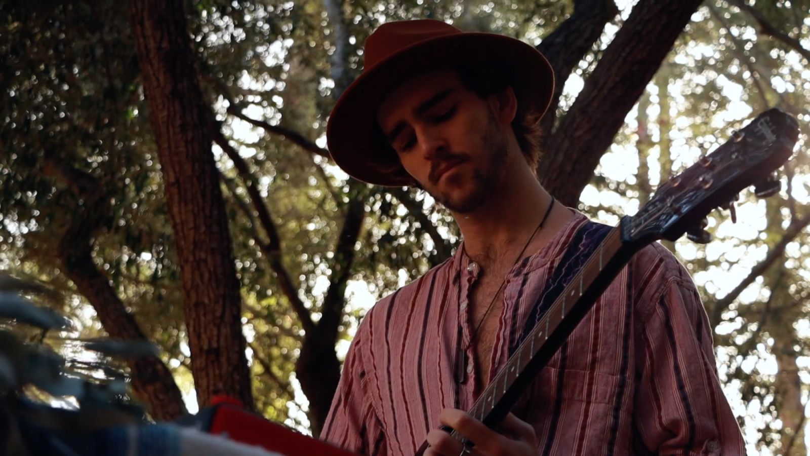 Musician playing guitar in front of trees