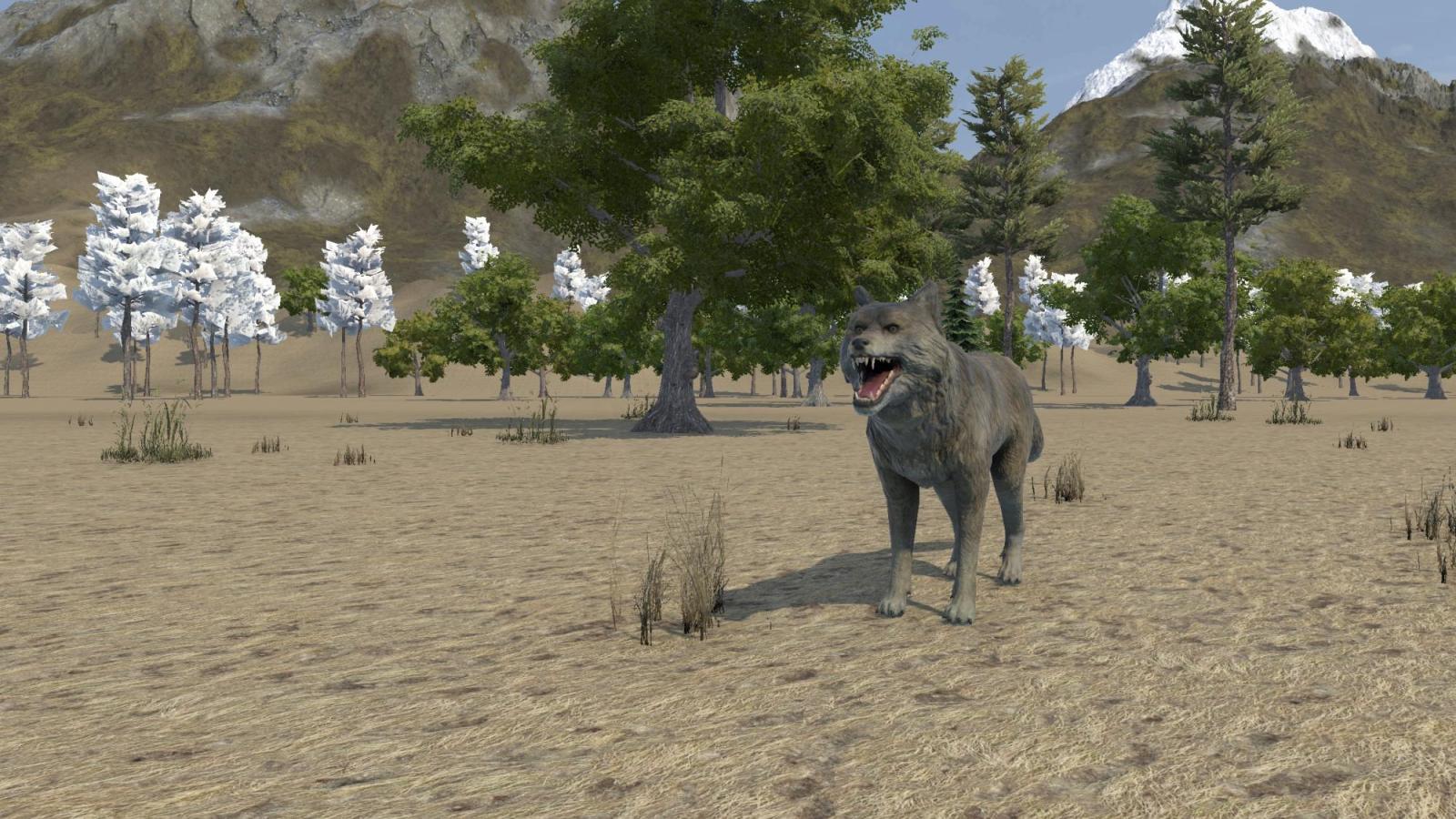 Wolf