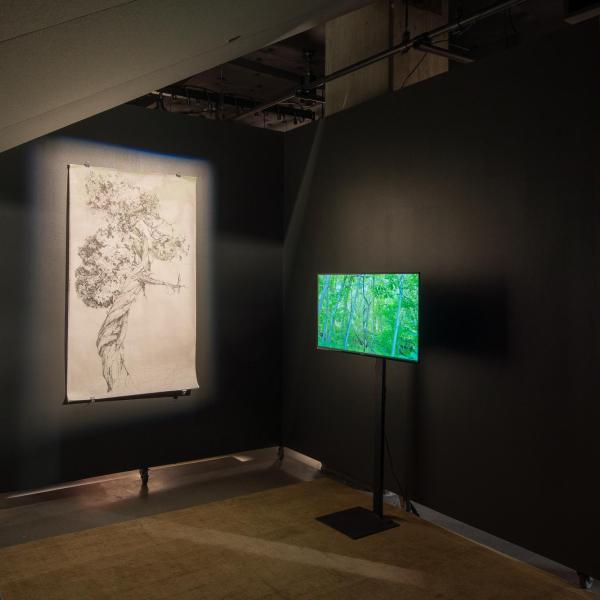 Tania Candiani, Walking the River, 15:36m, HD Video, 2019 and Erika Osborne, Selected works from “Mapping Bodily Connections” series, Digital prints & graphite on paper