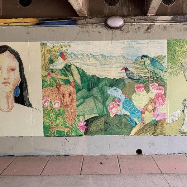 "A Fight for Sacred Land" by Lauren Redniss