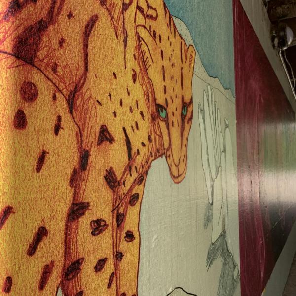 "A Fight for Sacred Land" by Lauren Redniss