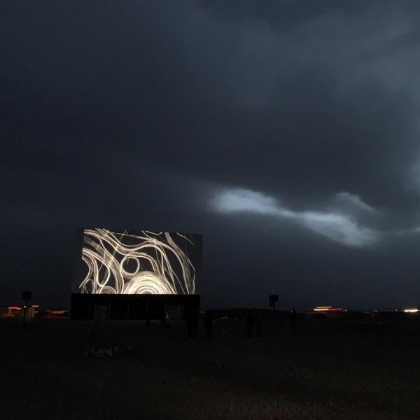 Windbreak film program