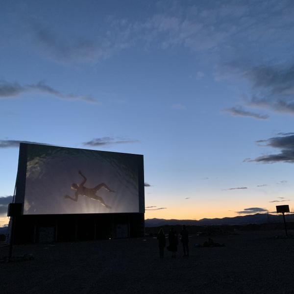 Windbreak film program