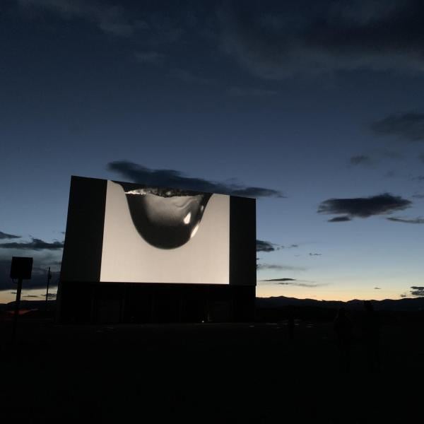 Windbreak film program