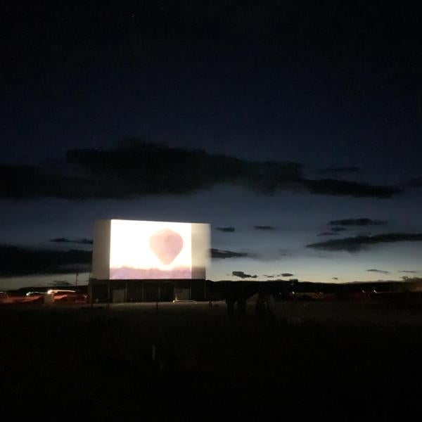 Windbreak film program