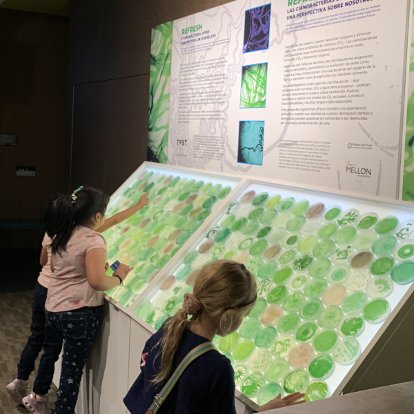 Refresh exhibition