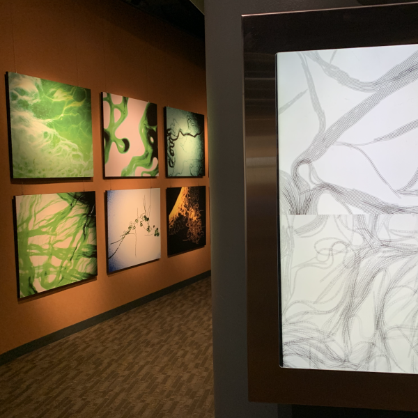 Refresh exhibition