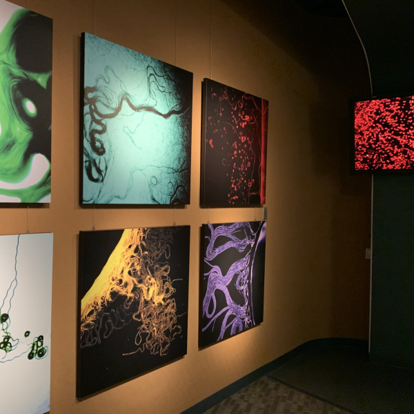 Refresh exhibition