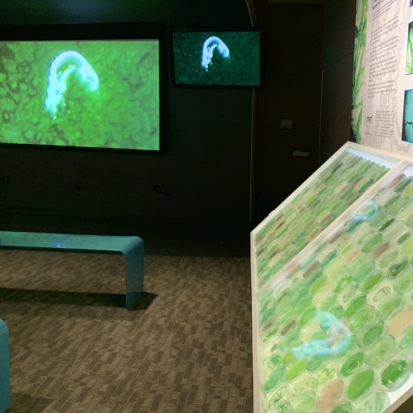 Refresh exhibition