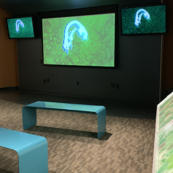 Refresh exhibition