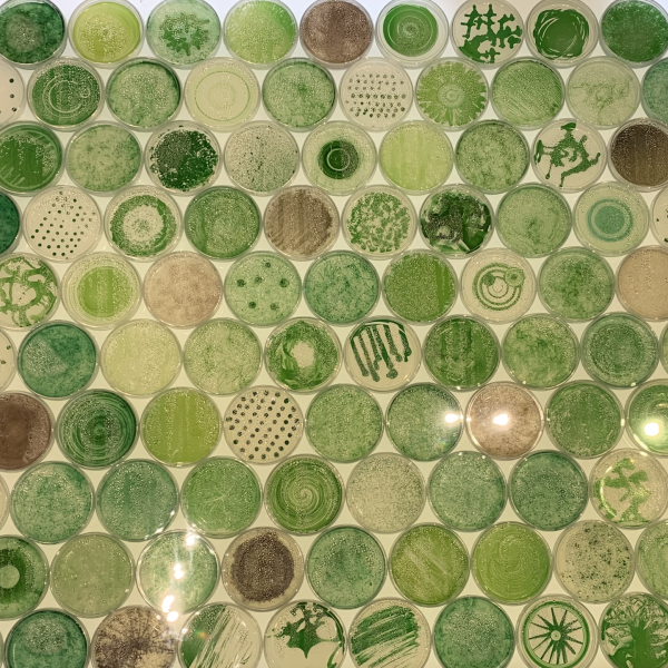 Refresh exhibition