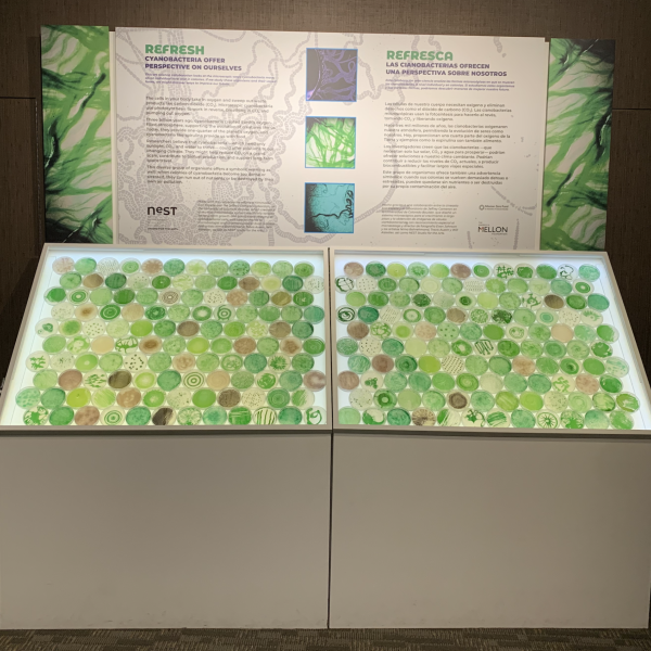 Refresh exhibition