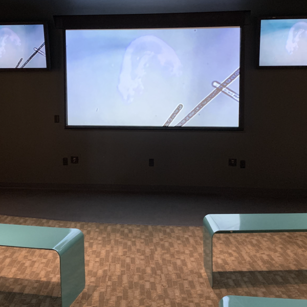Refresh exhibition