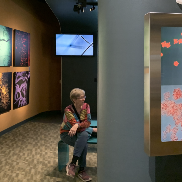 Refresh exhibition
