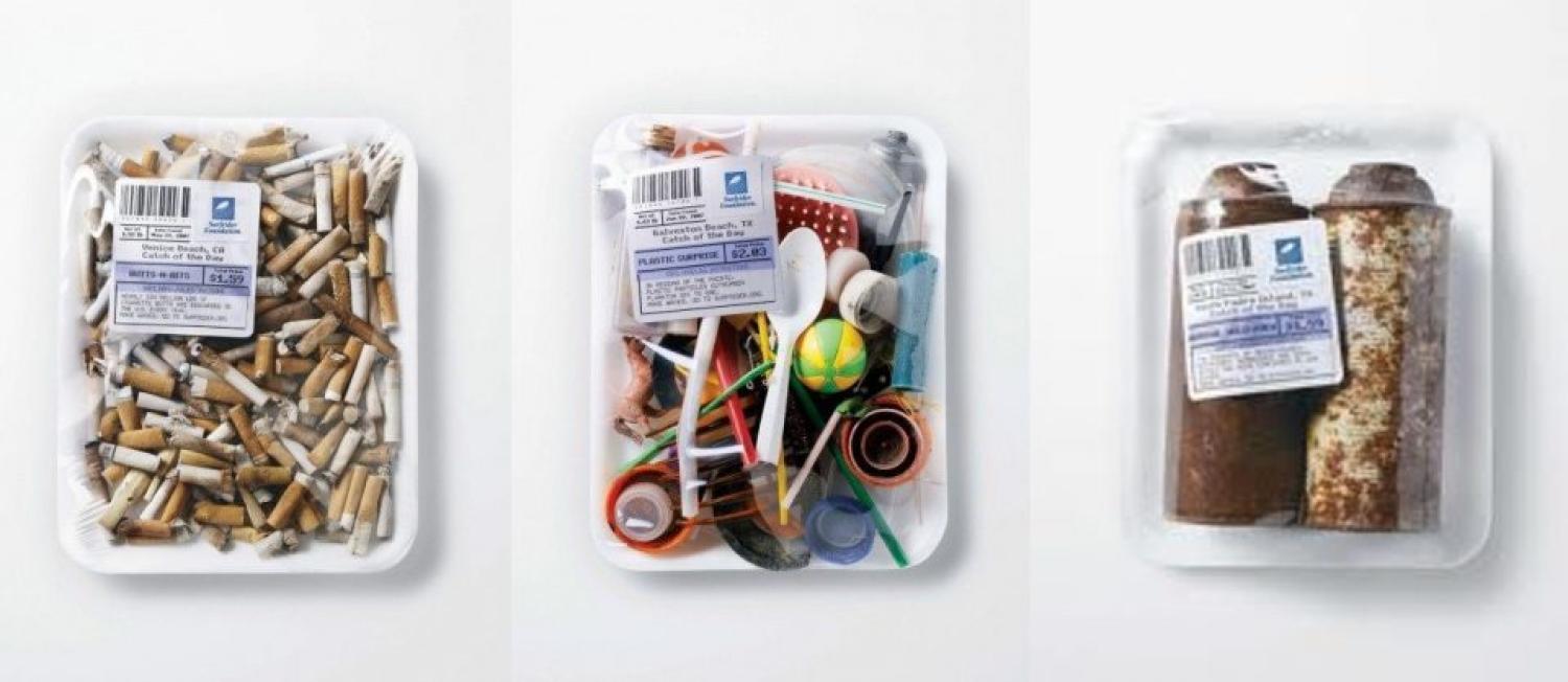 Catch of the Day, Surfrider Foundation, 2008