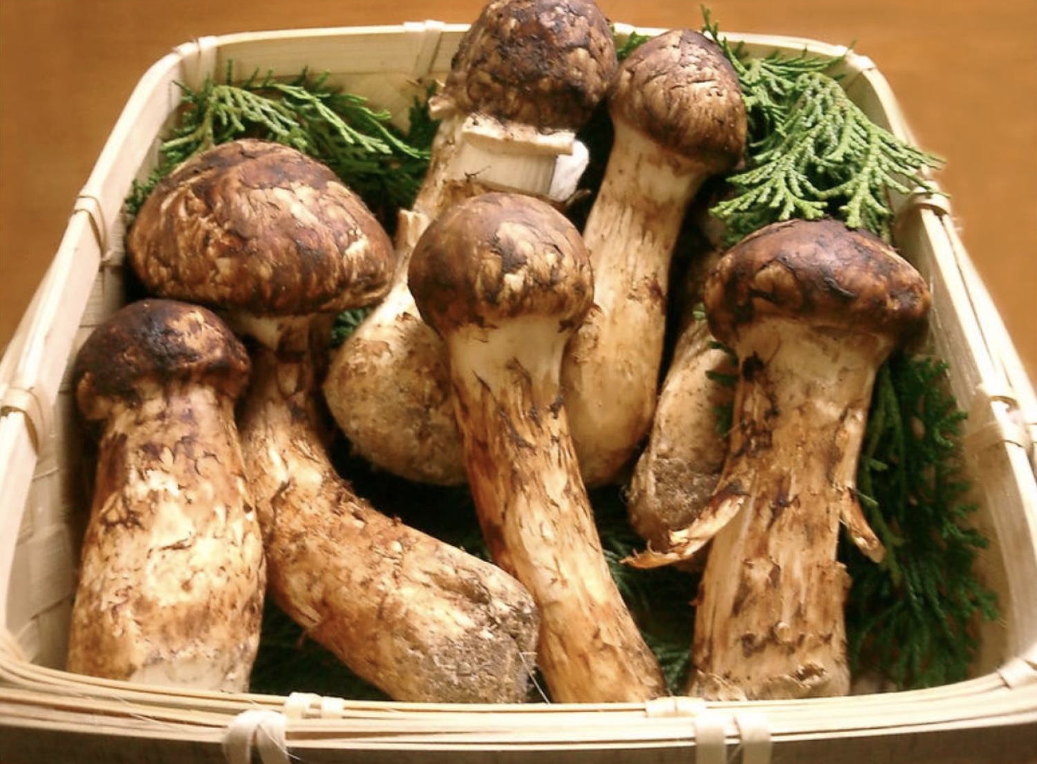 mushrooms