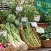 Greensgrow Farm