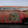 © Todd Gilens, 2011