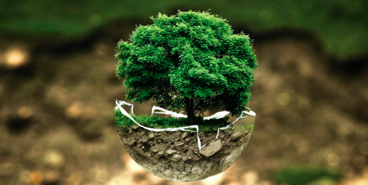 A floating sphere of soil and plant roots with a small green shrub on top, symbolizing a miniature world or eco-system.