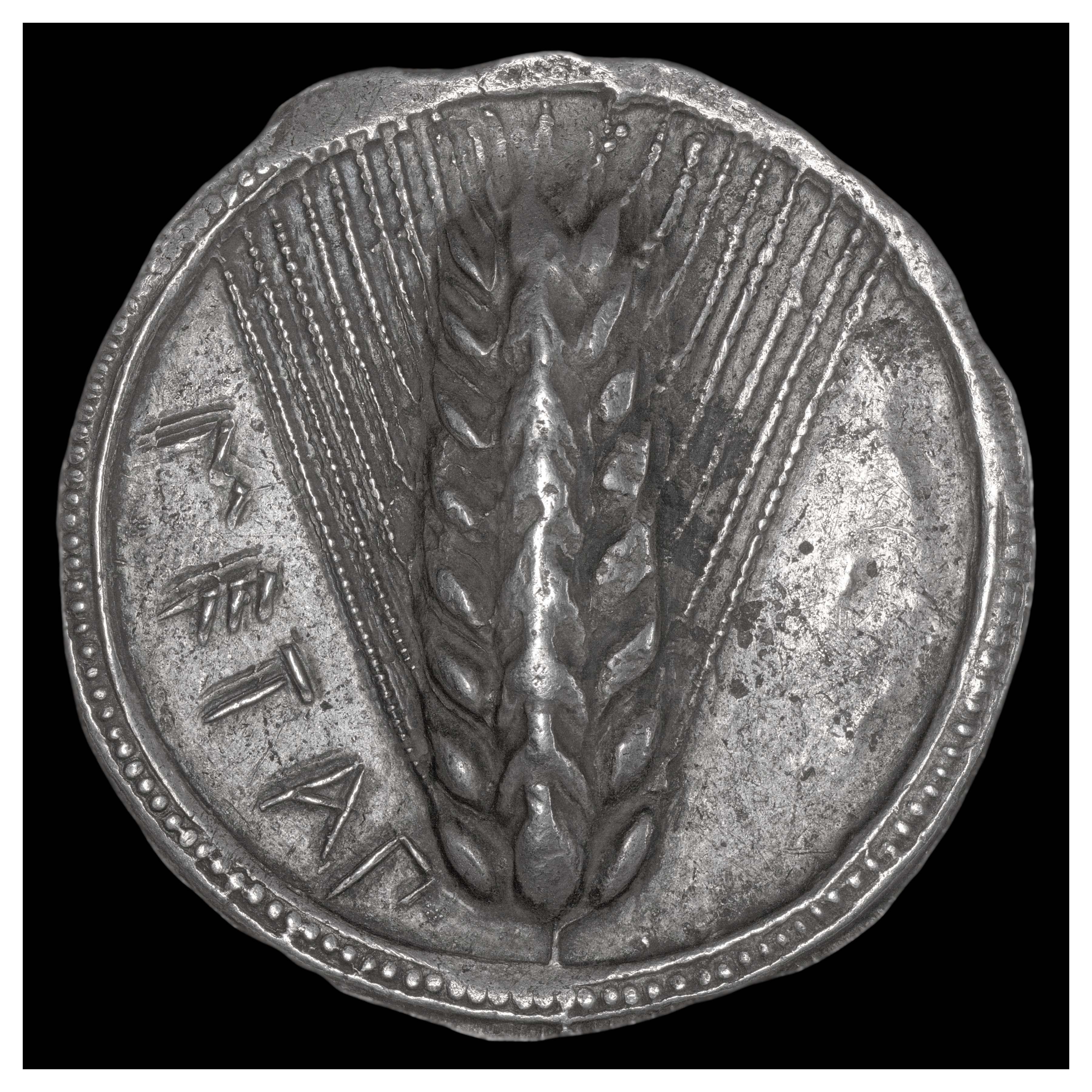 Silver Nomos, Metapontum, 540-510 BCE; Obverse: Narrow eight-grained barley ear with small additional terminal grains. Border of dots between two lines. Inscription ΜΕΤΑΠ (METAP = abbreviation of Metapontum).