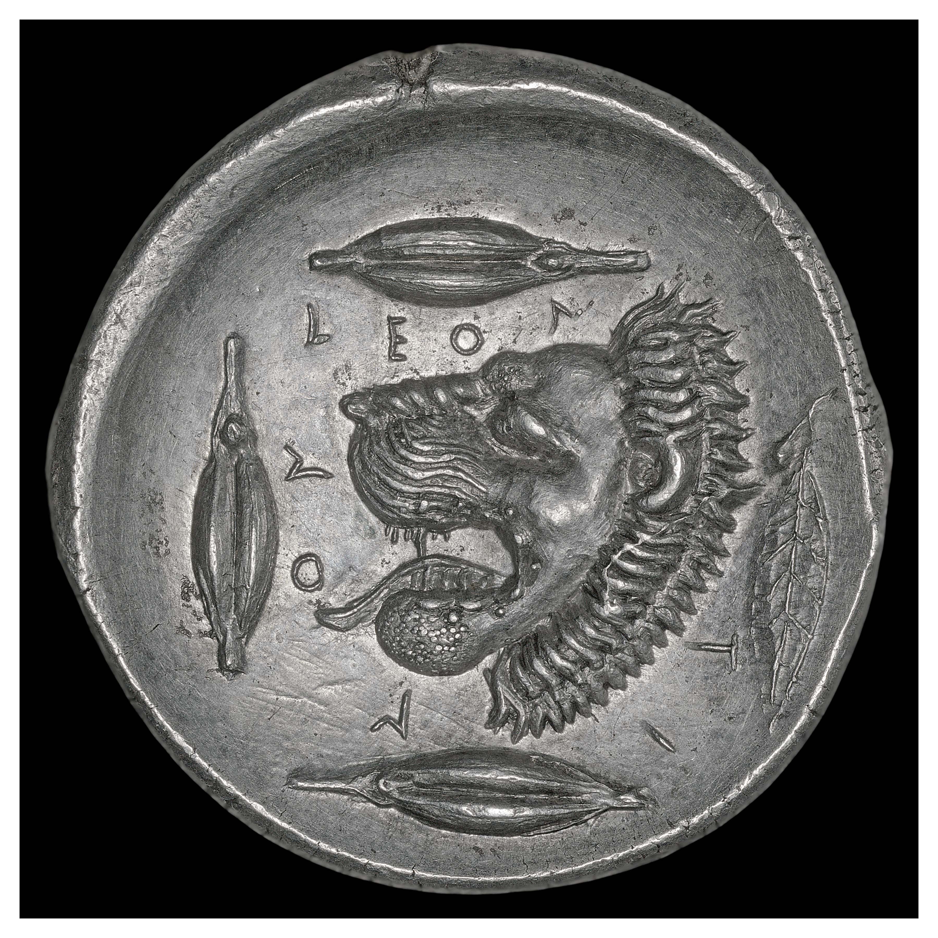 Silver Tetradrachm, Leontini, 460 BCE; Reverse: Lion’s head, barley grains, laurel leaf. Inscription ΛΕΟΝΤΙΝΟΝ (LEONTINON = “of Leontini”).
