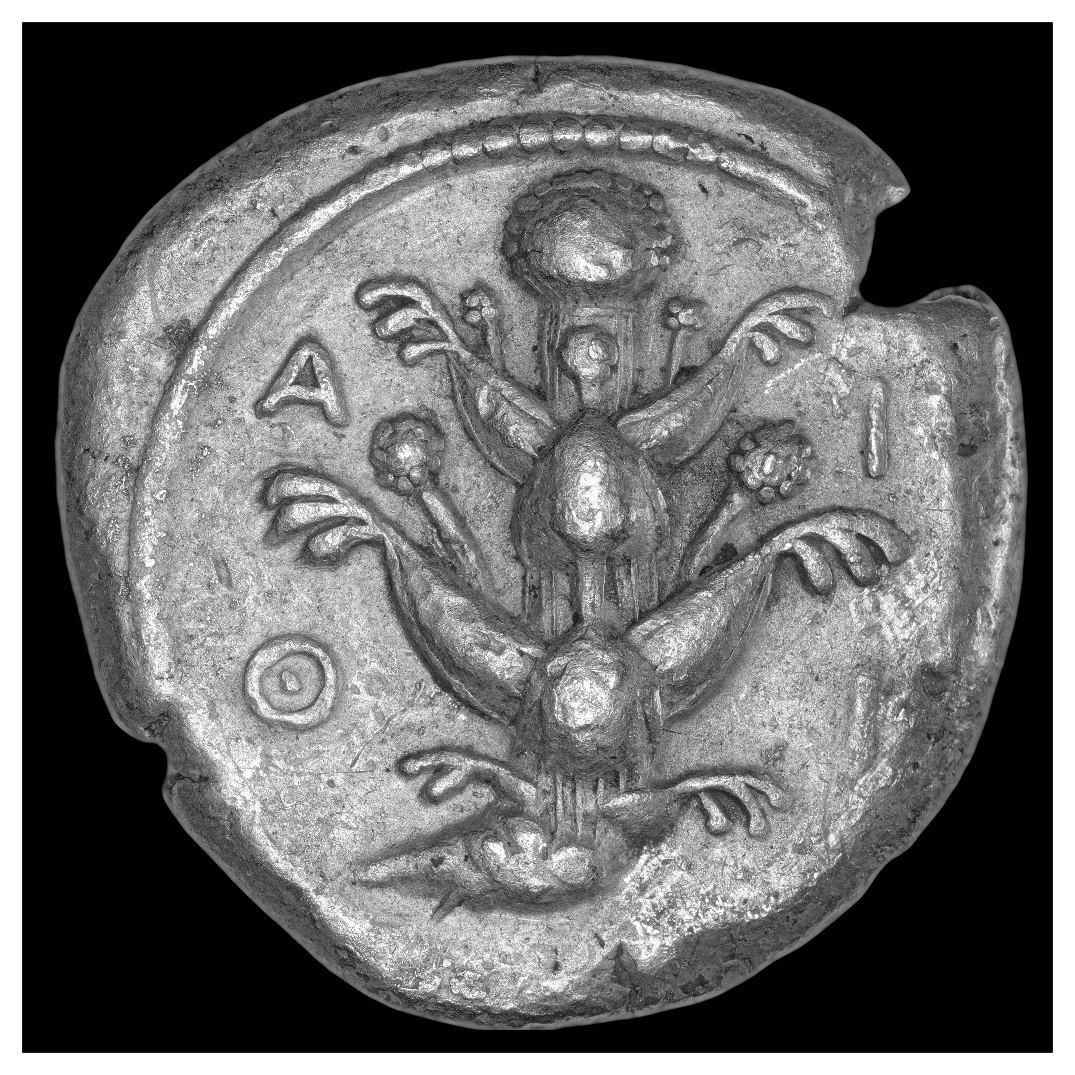 Obverse: silphium plant
