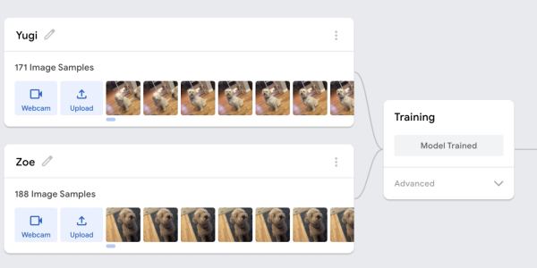 Screenshot of Google Teachable Machine being trained on images of different dogs.