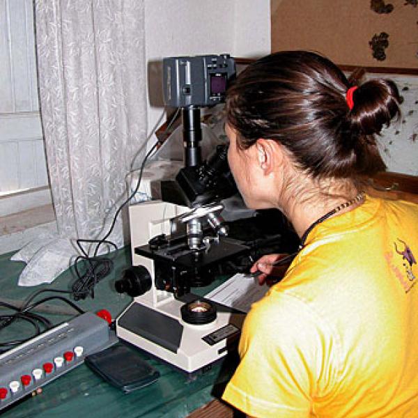 Veterinary students acquire important skills in the field.