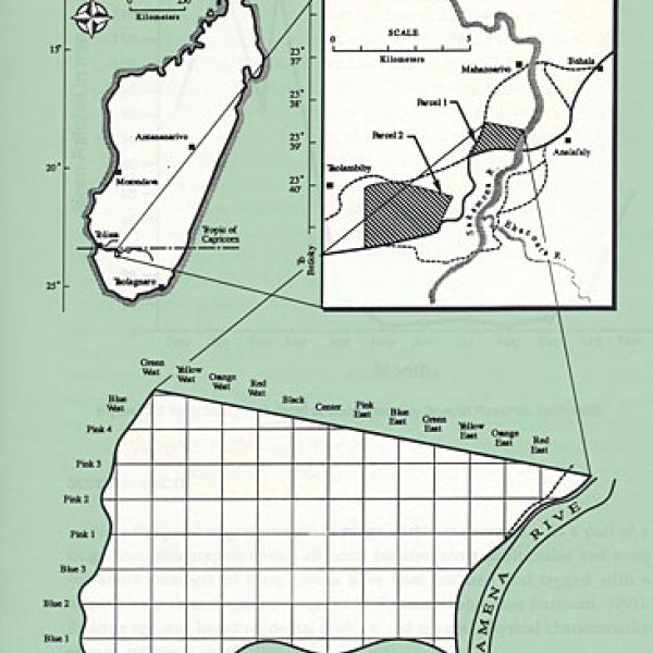 Beza Mahafaly Special Reserve in Madagascar.