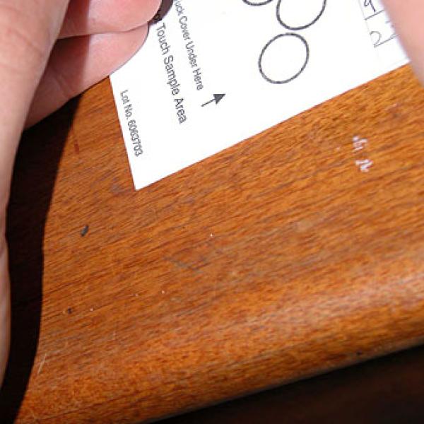 Blood on special DNA paper will tell us about the lemur's genetics.