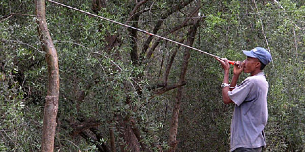man with a long blow dart