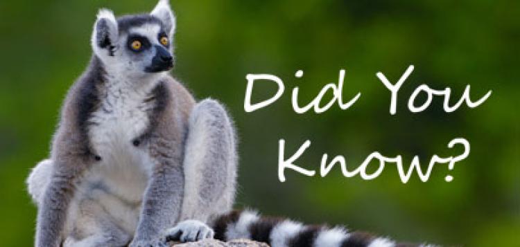 Did you know