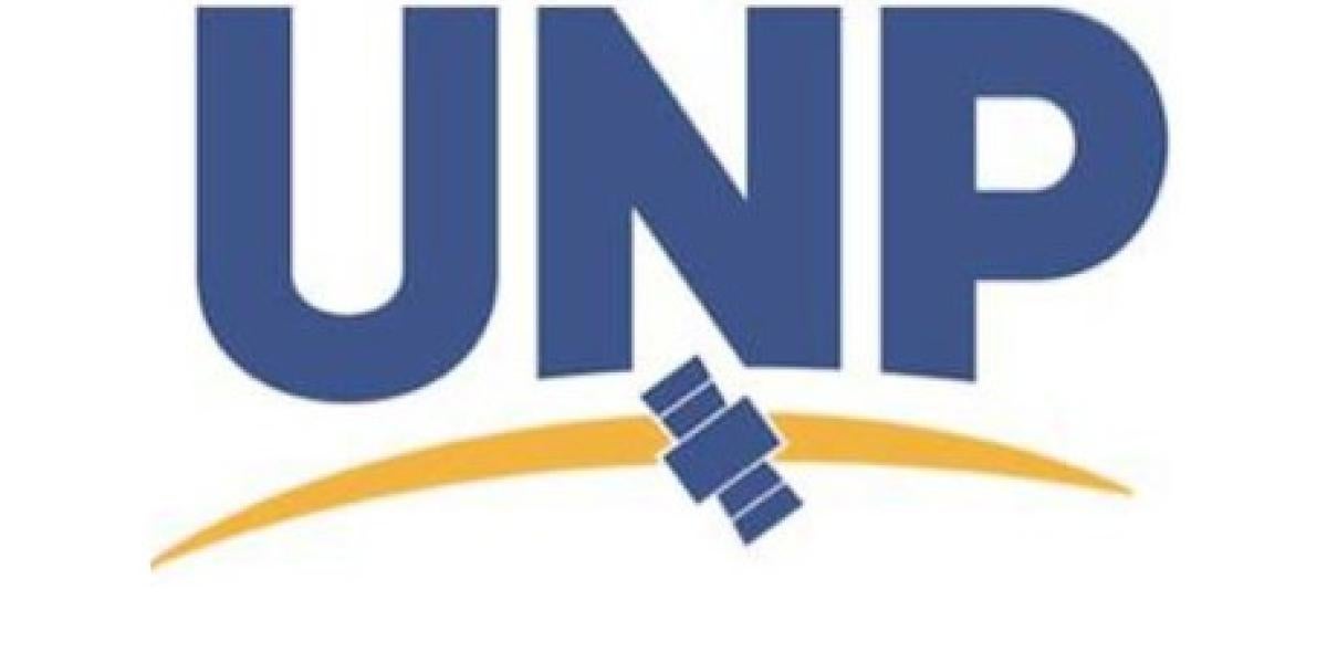 University Nanosatellite Program Logo