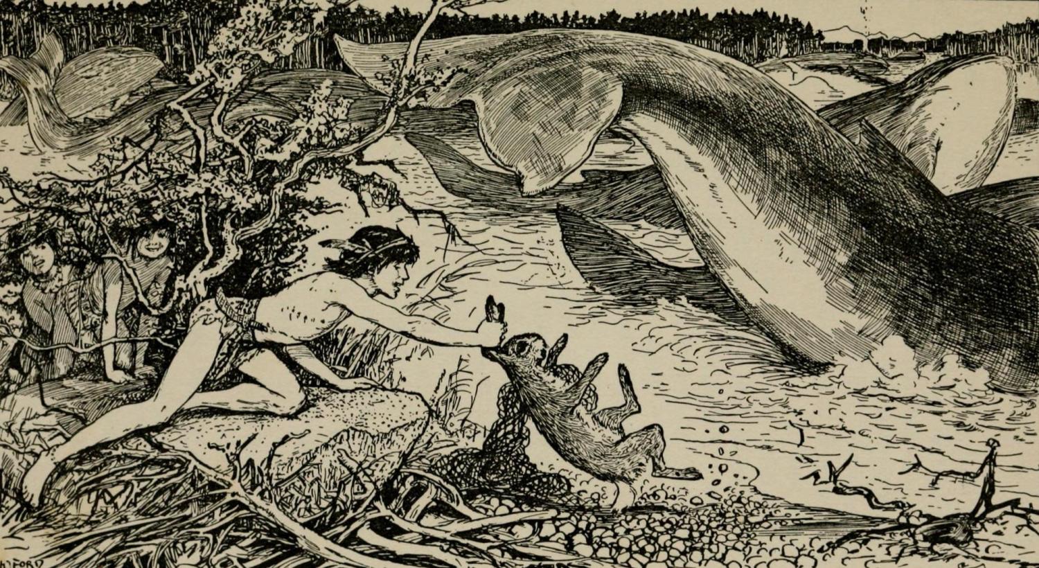 The Cunning Hare
