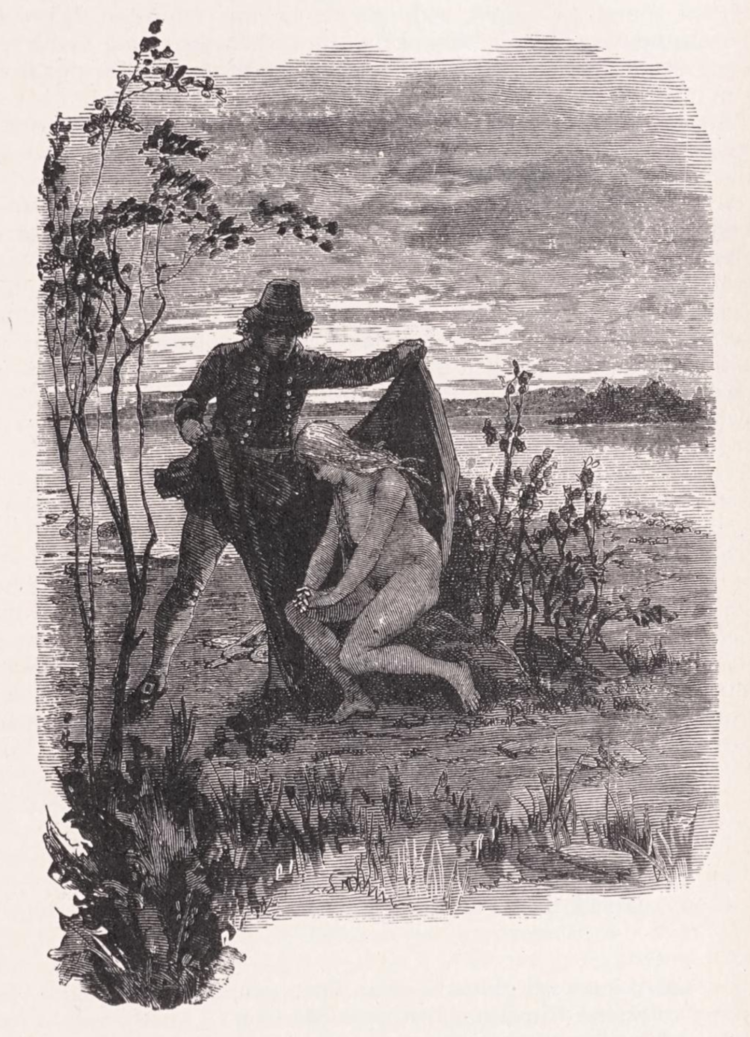 The Swan Maiden