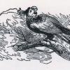 Bluebird illustration