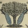 Imp Tree