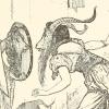 The Goat-faced Girl