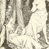 The White Wolf