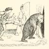 The Bear