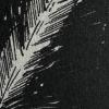 The Enchanted Quill