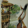 The Crane and the Heron