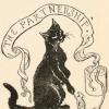 The Cat and the Mouse in Partnership