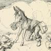 The Donkey Cabbage