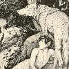 The boy and the wolves